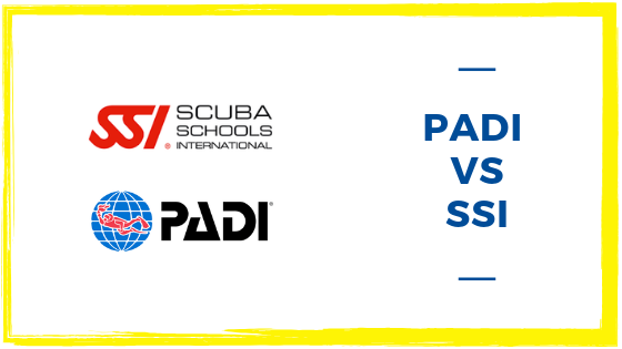 PADI and SSI: What’s the difference and what is best for you?