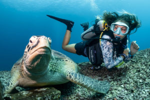 A diver getting nice and close to a beautiful green turtle that is hanging out on a coral bed.